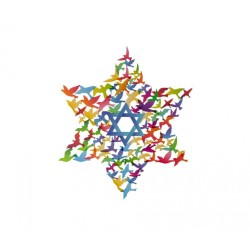 דורית יודאיקה אמנות קיר Medium Star of Davi... | מתלי קיר מאת דורית